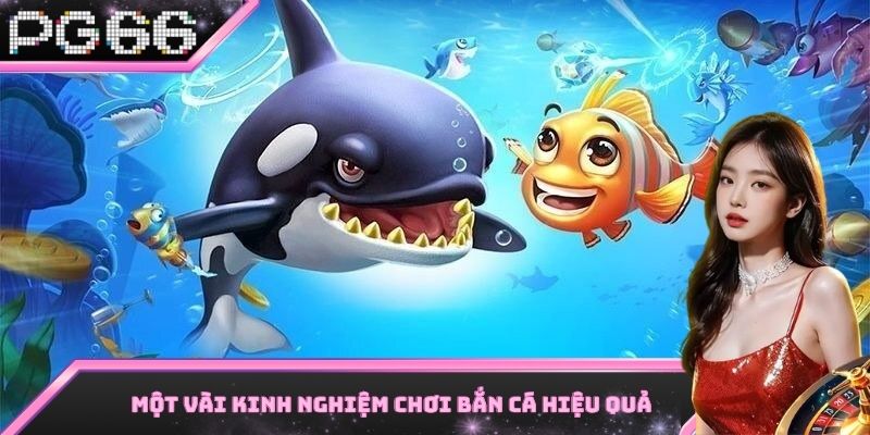 Kinh nghiệm săn cá đổi thưởng từ các cao thủ hàng đầu
